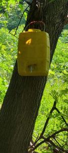 viber image 2021-07-15 11-28-40-732