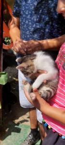 viber image 2021-07-15 11-29-19-813