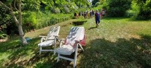 viber image 2021-07-15 11-29-35-928