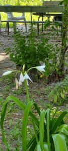 viber image 2021-07-15 11-29-57-035