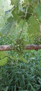 viber image 2021-07-15 11-30-58-249