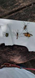 viber image 2021-07-15 11-31-44-495