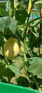 viber image 2021-07-15 11-32-49-041