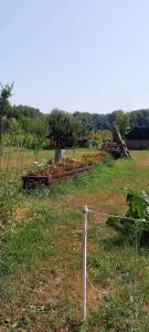 viber image 2021-07-15 11-33-07-306