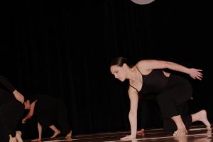 IMG 6954