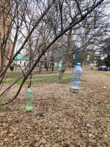 viber image 2024-01-18 13-31-34-744