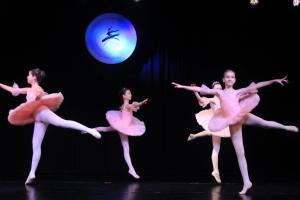 IMG 7557