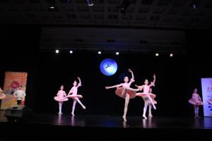 IMG 7582