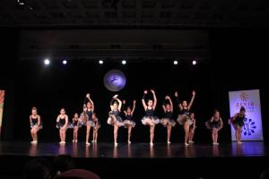 IMG 8559