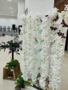 IMG 20240514 181605