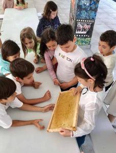 viber image 2024-05-29 12-45-17-873