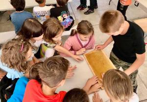 viber image 2024-05-29 12-45-18-095