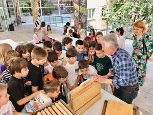 viber image 2024-05-29 12-45-44-713