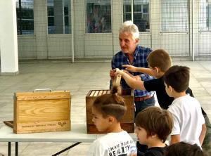 viber image 2024-05-29 12-45-45-879