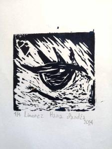 2024-08-16 hPs2019 110024