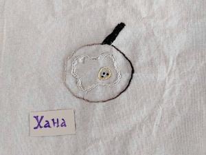 2024-08-23 hnrX7b 114713