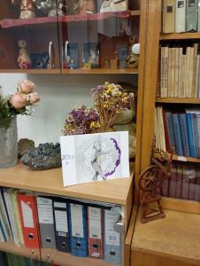 IMG 20250114 192334 web