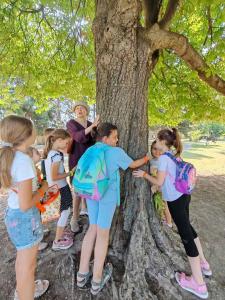 viber image 2025-07-01 11-01-56-793 web