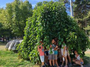 viber image 2025-07-01 11-01-56-949 web