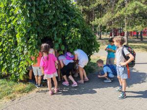 viber image 2025-07-01 11-01-57-271 web