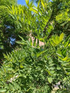 viber image 2025-07-01 11-01-57-624 web