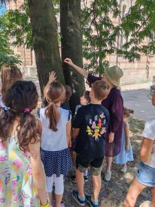 viber image 2025-07-01 11-01-57-767 web