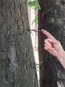 viber image 2025-07-01 11-01-58-143 web