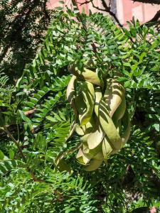 viber image 2025-07-01 11-01-58-191 web