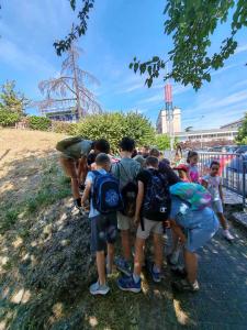 viber image 2025-07-01 11-01-58-684 web