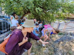 viber image 2025-07-01 11-01-58-765 web