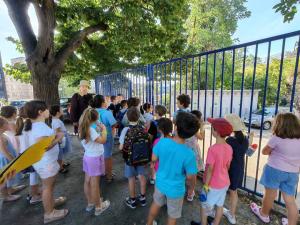 viber image 2025-07-01 11-01-58-927 web