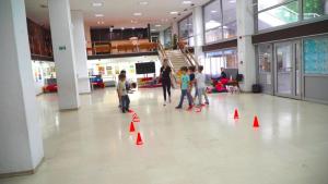DSC07195