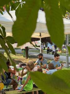 IMG-20250802-WA0013 web