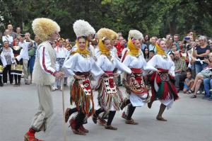 DSC 0377 web