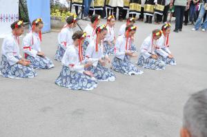 DSC 0383 web