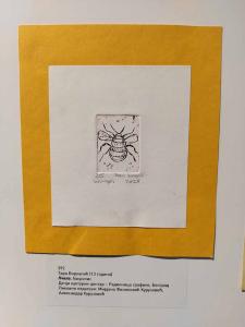 2025-10-03 hnrX7b IMG 171441 web