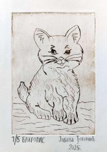 2025-01-18 hnrX7b 133324 web