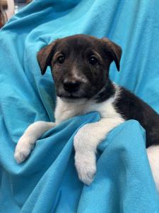 ejini-gremlini 2025-12-21 iP15-marija IMG 1119 web