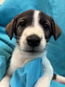 ejini-gremlini 2025-12-21 iP15-marija IMG 1135 web