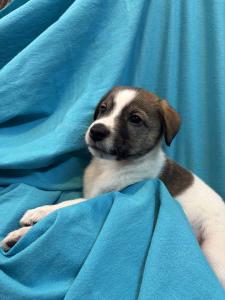 ejini-gremlini 2025-12-21 iP15-marija IMG 1151 web