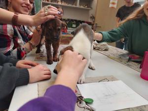 2025-12-27 hnrX7b 110135 web