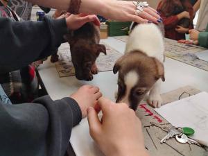 2025-12-27 hnrX7b 110140 web