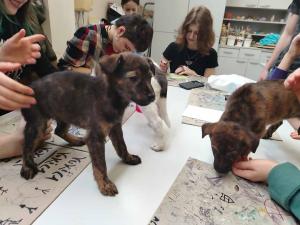 2025-12-27 hnrX7b 110244 web