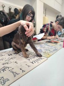 2025-12-27 hnrX7b 110258 web