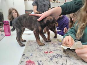 2025-12-27 hnrX7b 110406 web