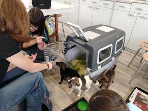 2025-12-27 hnrX7b 123516 web