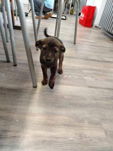 2025-12-27 hnrX7b 123602 web