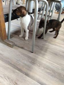 2025-12-27 hnrX7b 123608 web