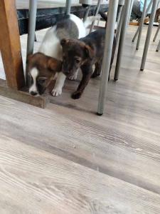 2025-12-27 hnrX7b 123610 web