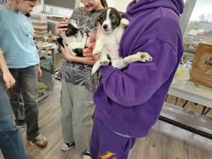 2025-12-27 hnrX7b 123641 web